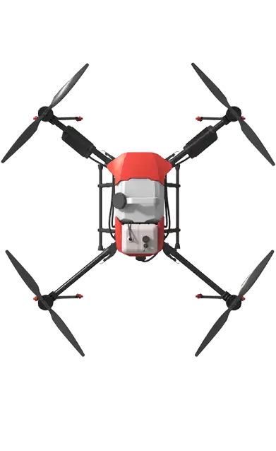 OIL-20 Surrounded and folded symmetrical structure