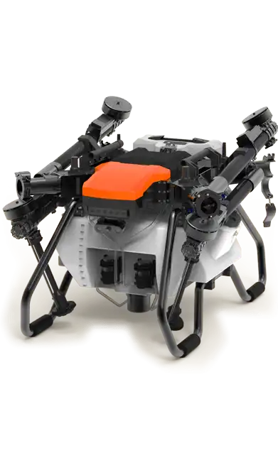 c30 Surrounded and folded symmetrical structure