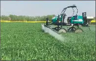 Spraying